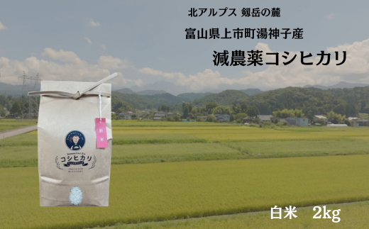 【令和7年産】減農薬 上市町湯神子産コシヒカリ（白米）2kg　 [ソムリエH 富山県 上市町 32280234-r6-01] 　お米 コメ ご飯 ごはん 白米ご飯 白米ごはん こしひかり