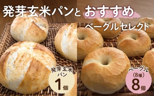 発芽玄米パンとおすすめベーグルセレクト【 ベーグル パン 自家製 酵母 発芽 玄米 もっちり オススメ 】 2350107 - 岡山県備前市