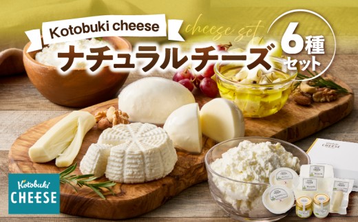 901-1 ナチュラルチーズセット　KN087-001 1021271 - 鹿児島県鹿屋市