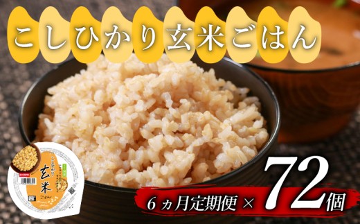 定期便 6回 こしひかり 玄米ごはんパック 160g 72個 玄米 米 ごはん ご飯 こめ パックライス パックご飯 パックごはん ご飯パック ごはんパック パック ライス 備蓄 保存 非常 防災 電子 レンジ 温めるだけ レンチン 健康 ダイエット 美容 ヘルシー レトルト インスタント おいしい 人気 おすすめ 72 72食 おくさま印 人気の玄米ご飯パック 美味しい玄米ご飯パック 大阪 松原 2306894 - 大阪府松原市