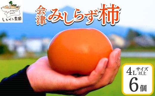 61-A しろべこ農園の会津みしらず柿 4Lサイズ以上6個入り ※2025年11月下旬〜12月下旬頃に順次発送予定