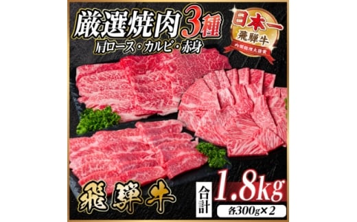 レビューキャンペーン中!飛騨牛　厳選焼肉3種(肩ロース・カルビ・赤身)計1.8kg(各300g×2)【1668650】 2301981 - 岐阜県羽島市