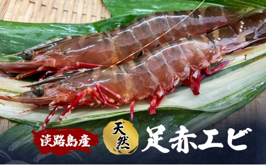 淡路島産天然足赤エビ 兵庫県 洲本市 淡路島 