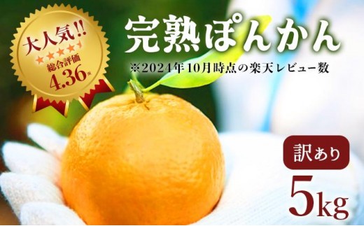 ＜先行予約＞訳アリ完熟ぽんかん 5kg 国産 東洋町産 訳あり 甘酸っぱい ジューシー 高知県 東洋町 四国 お取り寄せ フルーツ 蜜柑 ミカン 果物 送料無料 産地直送 F119 324753 - 高知県東洋町