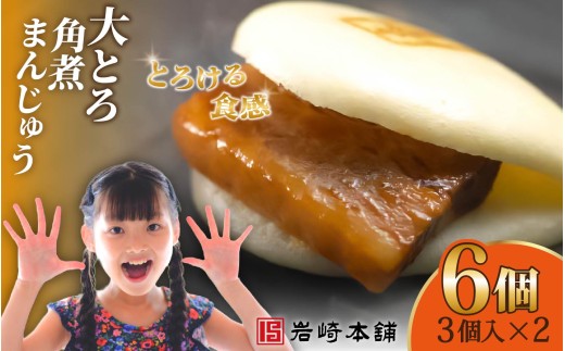 E481【岩崎本舗】大とろ角煮まんじゅう(3個入×2パック) / 本場 人気 有名 老舗 長崎県 佐世保市 温めるだけ お手軽 夜食 おやつ 豚肉 豚角煮 角煮まん 中華まん 長崎名物 卓袱料理 饅頭 角煮 ご当地グルメ 冷凍 個包装 