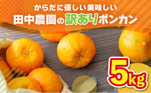 【先行予約】訳ありポンカン 5kg（L~3Lサイズ） 国産 東洋町産 訳あり 甘酸っぱい ジューシー 蜜柑 ミカン高知県 東洋町 四国 お取り寄せ フルーツ 果物 送料無料 TA12 326247 - 高知県東洋町
