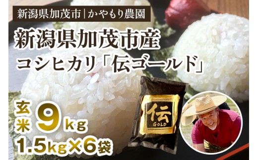 【令和7年産新米】新潟産コシヒカリ「伝ゴールド」白米真空パック 玄米9kg（1.5kg×6）《9月下旬から順次出荷》 南麻布の高級料亭で提供される極上米 かやもり農園