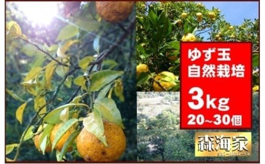 ＜先行予約！＞ゆず玉　3kgセット　期間限定 柑橘 ジューシー 自然栽培 国産 柚子　S164 330724 - 高知県東洋町