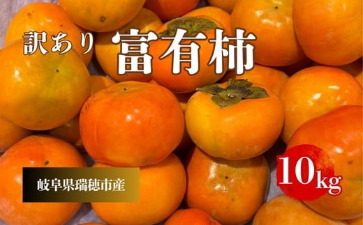 岐阜県瑞穂市産 訳あり富有柿 10kg※2025年11月中旬～12月中旬頃に順次発送予定 2304088 - 岐阜県瑞穂市
