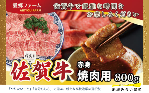 [愛郷ファーム]佐賀牛赤身焼肉用 800g