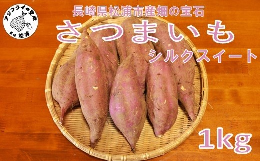 [長崎県松浦市産]畑の宝石 さつまいも(シルクスイート) 1kg ( さつまいも シルクスイート 長崎県松浦市産 長崎県産 )