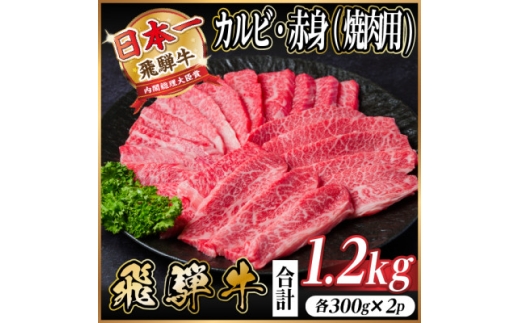 レビューキャンペーン実施中!飛騨牛　厳選カルビ・赤身(焼肉・BBQ用)計1.2kg(各300g×2)【1667421】 2301979 - 岐阜県羽島市