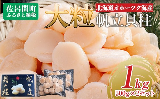 北海道オホーツク海産 大玉帆立貝柱 500g×2セット 【 ふるさと納税 人気 おすすめ ランキング ホタテ ほたて 帆立 ホタテ貝柱 ほたて貝柱 貝柱 刺身 帆立刺身 刺身ホタテ 魚介 新鮮 オホーツク海産 北海道 佐呂間町 送料無料 】 SRMR002 1508799 - 北海道佐呂間町