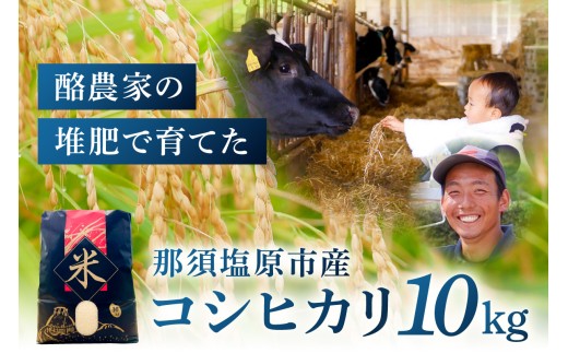 那須塩原市産コシヒカリ　10キロ ns130-001 【お米 米 コシヒカリ ブランド米 ごはん おにぎり 白米】