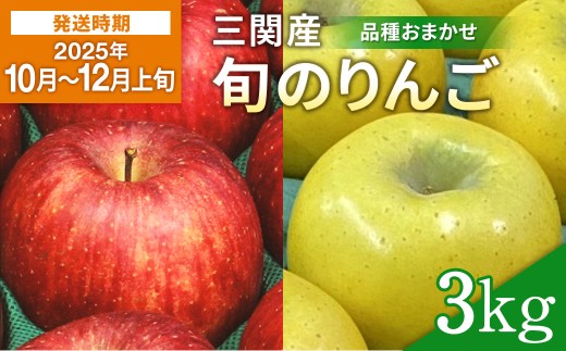 [2025年10月〜12月上旬発送]濃厚でジューシー! 三関産 旬 りんご 3kg 中生種 品種お任せ 早生ふじ シナノスイート 王林 等の中から 美味しい 林檎 をお届け 果物 フルーツ 秋田県 三関[三関ゆめ蔵ぶ直売所][L2603]