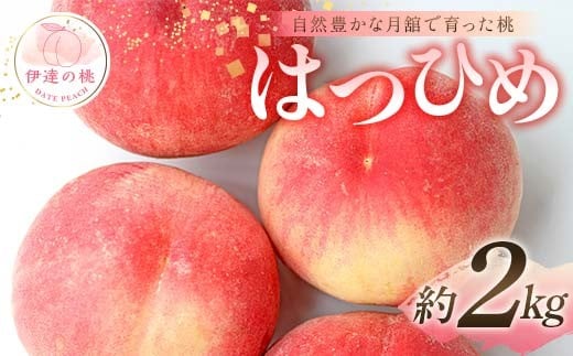 【2026年出荷分先行予約】福島県産 はつひめ 約2kg (6～10玉) 森果樹園 自然豊かな月舘で育った桃 伊達の桃 桃 フルーツ 果物 もも モモ momo F21C-048