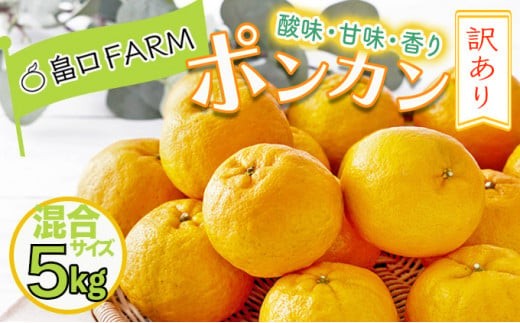 【先行予約】訳ありポンカン ＜5kg＞ サイズ混合　HT19 341442 - 高知県東洋町