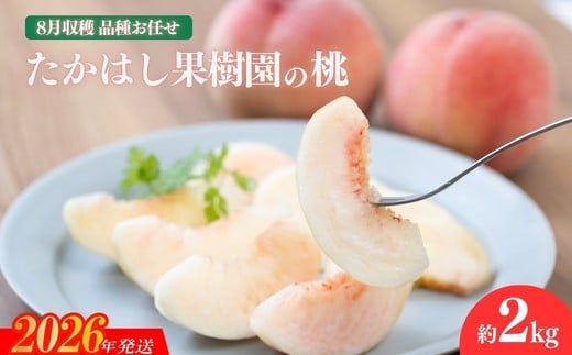No.2531たかはし果樹園の桃　8月収穫 福島市産 白桃 品種 おまかせ (白鳳、あかつき、まどか、よさこい桃、川中島白桃、ゆうぞら ) 約2kg【2026年発送 先行予約】