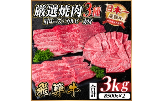 レビューキャンペーン中!飛騨牛　厳選焼肉3種(肩ロース・カルビ・赤身)計3kg(各500g×2)【1669125】