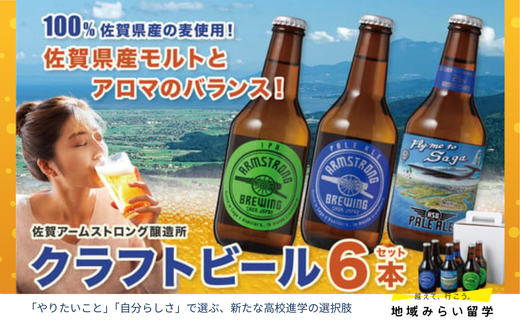 [セット]クラフトビール6本セット(ペールエール/HSGペールエール/IPA 各2)