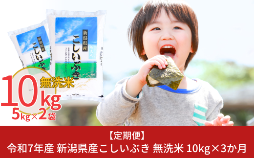 新米 先行予約 [定期便10kg×3ヶ月] 無洗米 新潟県産こしいぶき 令和7年産 10kg 3か月（3ヵ月）連続でお届け [株式会社白熊]【034S004】 869168 - 新潟県三条市