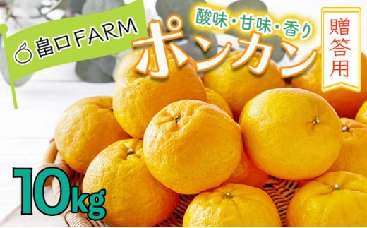 ＜先行予約＞ポンカン【贈答用】10kg　HT14 327446 - 高知県東洋町