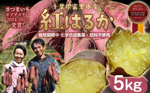 【先行予約】【2026年1月から順次発送】さつまいも(紅はるか)　5kg TMAE001 / さつまいも サツマイモ  紅はるか べにはるか   シルクスイート  しるくすいーと おさつ 甘藷 唐いも あまい 甘い スイーツ スイート ポテト おやつ 焼き芋 千葉県 富里市 