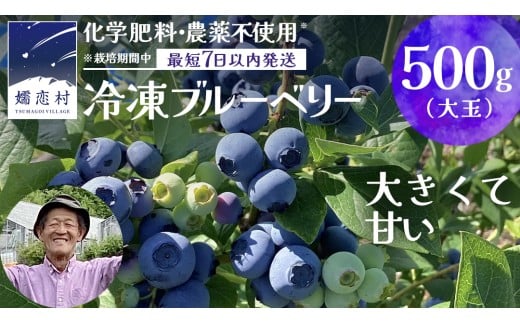 【 最短 7日以内 発送 】 冷凍 ブルーベリー 大玉 500g 【 栽培期間中 化学肥料 農薬 不使用 】 数量限定 大粒 国産 フルーツ スムージー 果物 くだもの 農家直送 スイーツ アイス ノーザンハイブッシュ系 ミックス [AT010tu] 1437137 - 群馬県嬬恋村
