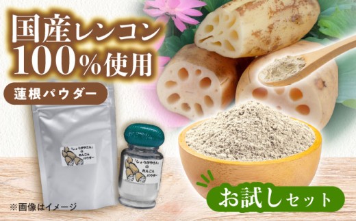 国産 れんこんパウダー お試しセット レンコン 調味料 野菜 愛西市 / しょうがやさん [配達不可:離島] [AEAO010]