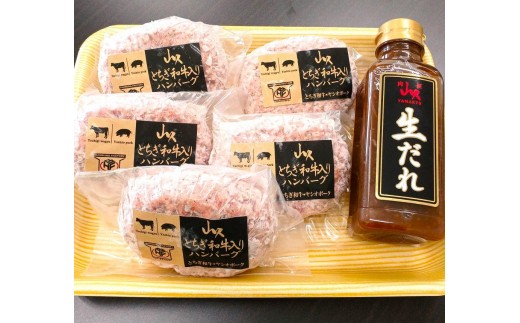 【生ダレ付】とちぎ和牛入りハンバーグ (1個150g)×5個 750g | 和牛 高級 ハンバーグ グルメ ジューシー ギフト 贈答 お取り寄せ 選べる おすすめ 肉汁 ふるさと 納税 おかず 美味しい お肉 にく 惣菜 家族 家庭 贅沢 ご褒美 栃木県 矢板市 2302335 - 栃木県矢板市