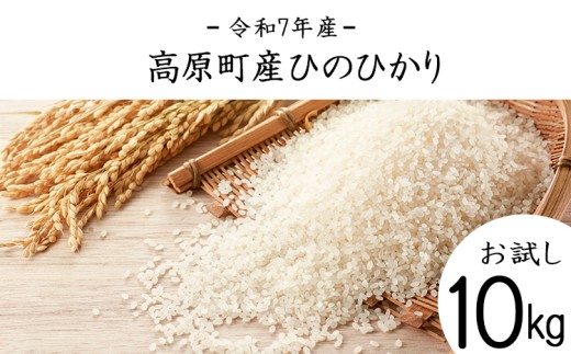 【令和7年産 新米】宮崎県高原町産 ひのひかり白米 10kg TF00856-P00079