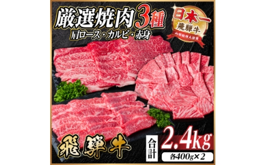レビューキャンペーン中!飛騨牛　厳選焼肉3種(肩ロース・カルビ・赤身)計2.4kg(各400g×2)【1669124】
