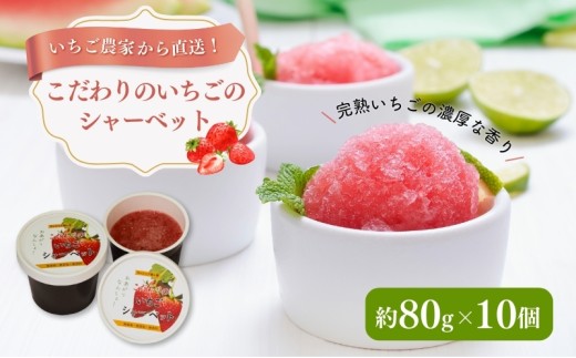 【いちご農家直送！】こだわりのいちごシャーベット（約80g×10）[№5659-1031]