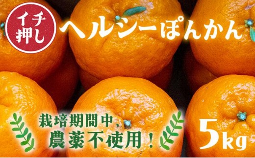 F94　ヘルシーぽんかん5kg　ポンカン ぽんかん 国産 東洋町産 オレンジ 蜜柑 ミカン 果物 フルーツ 甘い 酸味 ジューシー 完熟 高知県 四国 お取り寄せ 贈答 贈り物 ギフト 内祝 家庭用 自宅用 1445028 - 高知県東洋町