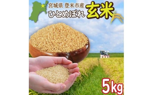 ≪令和7年産・新米≫  宮城県登米市産 ひとめぼれ 玄米 5kg お米 おこめ 米 白米 コメ ご飯 ごはん おにぎり お弁当 ブランド米【有限会社伊豆沼農産】tm481 2305214 - 宮城県登米市
