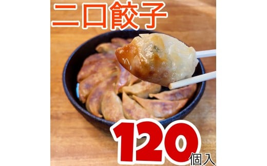 伊万里発「餃子無尽」の二口餃子　120個 209-G298 2318549 - 佐賀県伊万里市