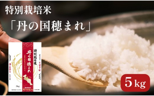 令和7年度産 新米 特別栽培米 コシヒカリ「丹の国穂まれ」 5kg こしひかり お米 米 綾部 京都 748270 - 京都府綾部市