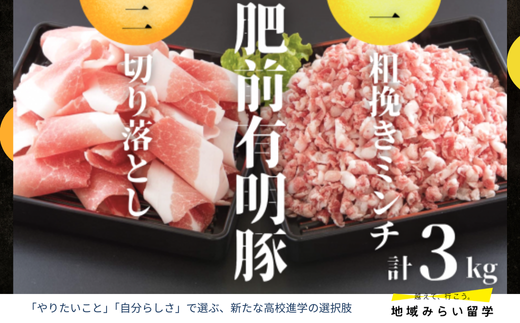 [セット]肥前有明豚 切り落とし・粗挽きミンチ 計3kg