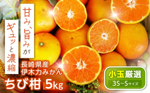※【2025年11月より順次発送／先行予約】伊木力みかん(ちび柑) 5kg / みかん s みかんsサイズ ミカン 蜜柑 柑橘 フルーツ ふるーつ 果物 くだもの / 諫早市 / 山野果樹園 [AHCF013] 2257724 - 長崎県諫早市