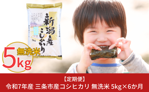 新米 先行予約 [定期便5kg×6か月] 無洗米 新潟県三条市産コシヒカリ 計30kg 令和7年産 新米 こしひかり 6か月連続でお届け [株式会社白熊]【041S007】 868499 - 新潟県三条市