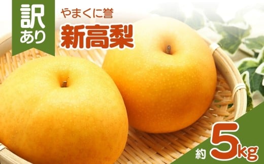 やまくに誉（新高梨） 訳あり 約 5kg | フルーツ 果物 くだもの 梨 なし ナシ 和梨 新高 5キロ 産地直送 九州産 国産 九州 大分県 中津市