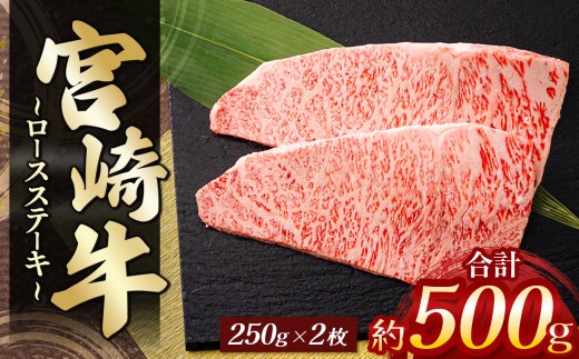 宮崎牛ロースステーキ 2枚(計 500g) | 肉 にく お肉 おにく 牛 牛肉 和牛 宮崎牛 牛ロース ロース ステーキ 宮崎県 五ヶ瀬町