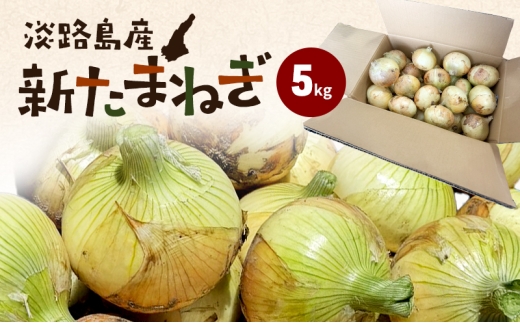 淡路島産新たまねぎ 5kg 新玉ねぎ タマネギ 甘い 兵庫県 洲本市 淡路島 