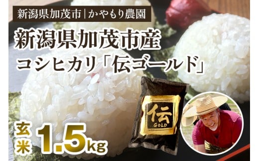 【令和7年産新米】新潟産コシヒカリ「伝ゴールド」白米真空パック 玄米1.5kg  《9月下旬から順次出荷》 南麻布の高級料亭で提供される極上米 かやもり農園
