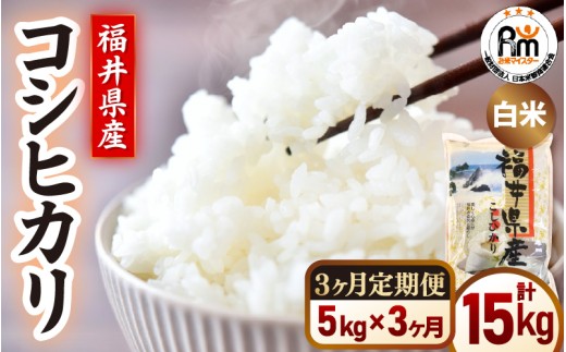 【新米】令和7年産 米 定期便3ヶ月コシヒカリ精米  5kg × 3回（計15kg）福井県産【白米 5キロ 15キロ こしひかり お米 ごはん 人気品種 産地直送 新生活 kome】 [e66-d002]