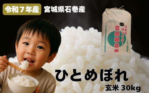 米 ひとめぼれ 玄米 30kg  令和7年産 新米 ヒトメボレ お米 ごはん ご飯 30キロ 産地直送 米処 美味しい おこめ こめ さっぱり 2294588 - 宮城県石巻市