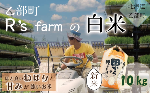 ＜北海道の米(10kg)～もっちり柔らか！若い農家が作る米～＞米 国産米 北海道 道産 道産米 1554111 - 北海道乙部町