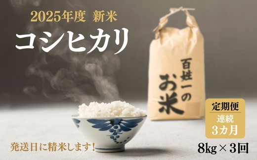065-1001　【3回定期便】石井町産コシヒカリ8kg×連続3カ月 ※離島への配送不可