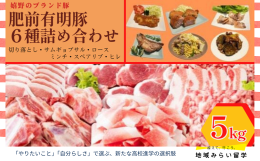 [セット]肥前有明豚 6種類のバラエティセット 計5kg(ヒレカツ・スペアリブ・切り落とし・ミンチ・ロースとんかつ・バラサムギョプサル)