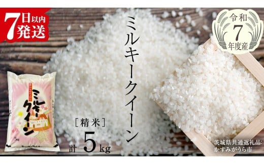 【令和7年産】 ミルキークイーン 精米 5kg（5kg×1袋）（茨城県共通返礼品 かすみがうら市産） 新米 米 ごはん もっちり 甘い コメ お米 白米 銘柄米 [EX016sa]